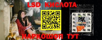 стаф Кудрово