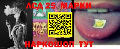 стаф Кудрово