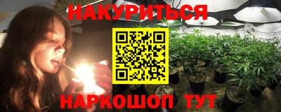 стаф Кудрово