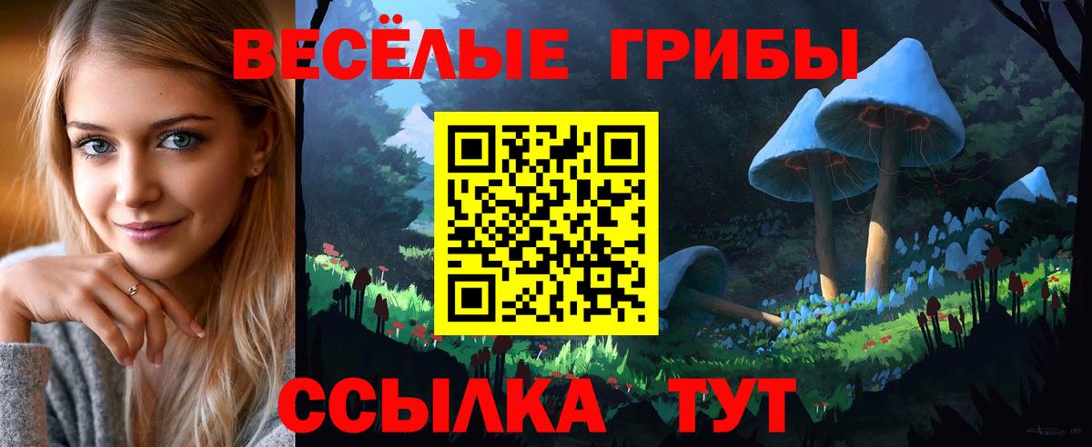 Галлюциногенные грибы Magic Shrooms  Вход с VPN  Добрянка  Галлюциногенные грибы GOLDEN TEACHER 