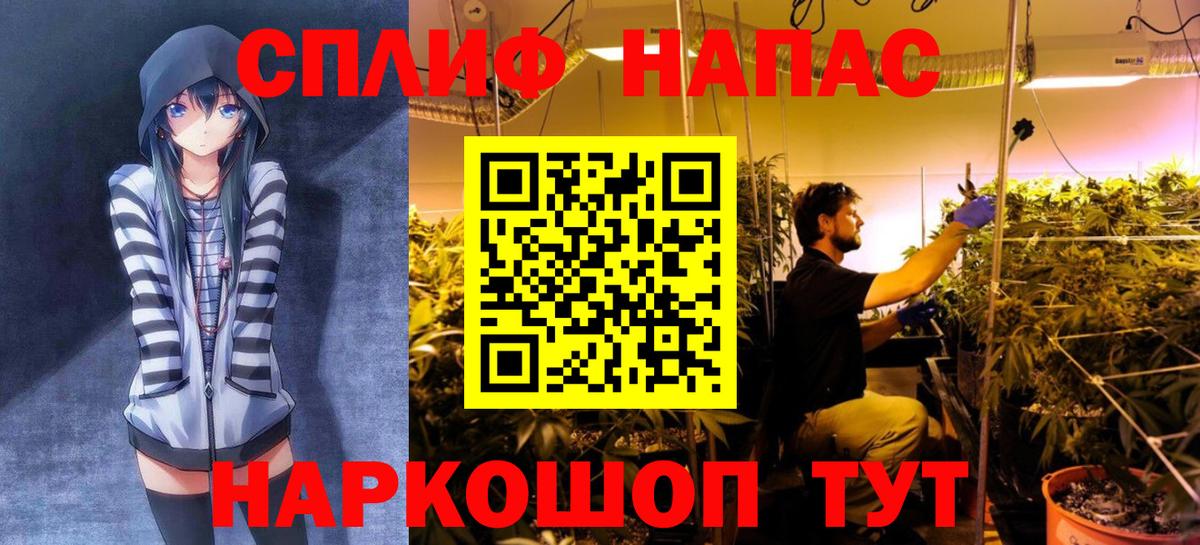 Бошки марихуана VHQ  Каннабис Bruce Banner  Шишки марихуана планчик  Вход с VPN  Добрянка 